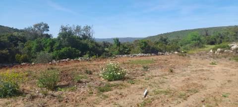 Terreno rústico - Loulé