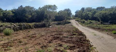 Terreno rústico - Loulé