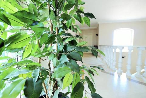 Moradia convertida em Hostel, Albufeira - Conforto e Tranquilidade no Coração do Algarve