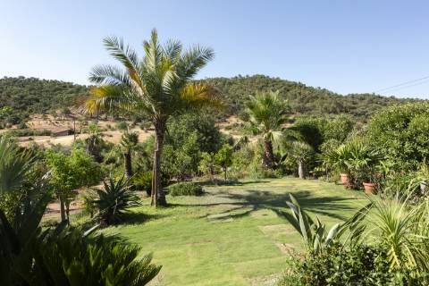 Casa de campo V2 com jardim botânico, Messines