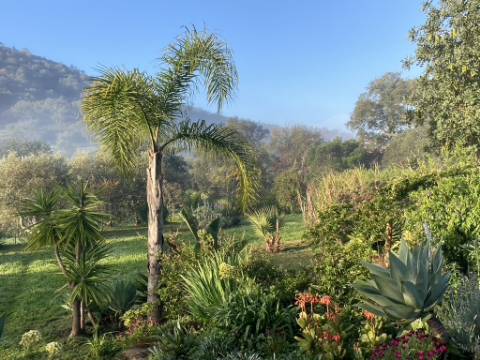 Casa de campo V2 com jardim botânico, Messines