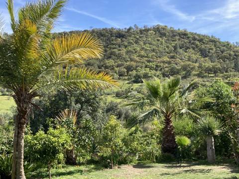 Casa de campo V2 com jardim botânico, Messines