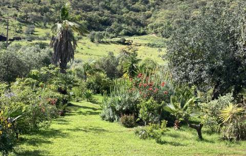 Casa de campo V2 com jardim botânico, Messines