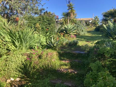 Casa de campo V2 com jardim botânico, Messines