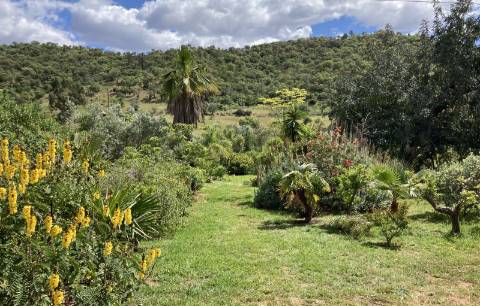 Casa de campo V2 com jardim botânico, Messines