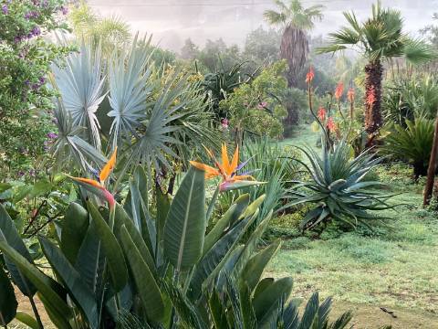 Casa de campo V2 com jardim botânico, Messines