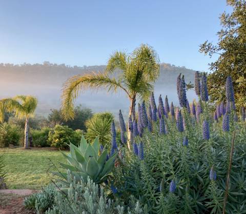 Casa de campo V2 com jardim botânico, Messines