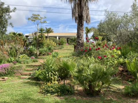Casa de campo V2 com jardim botânico, Messines