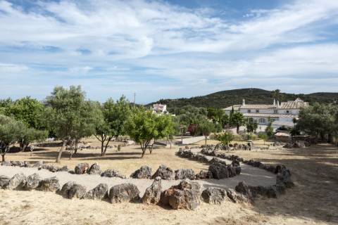 Moradia de Prestígio com 7 Quartos em Santa Bárbara de Nexe