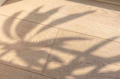 O Refúgio Perfeito no Algarve - Moradia T3 em Boliqueime