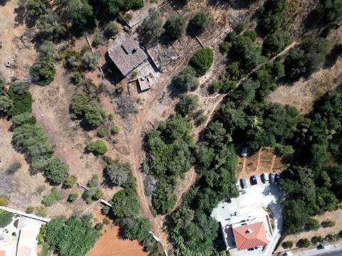 Terreno com ruína - Loulé