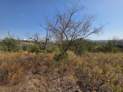 Terreno Misto - Loulé