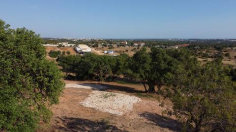 Terreno rústico - Boliqueime
