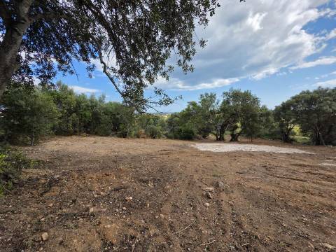 Terreno rústico - Boliqueime
