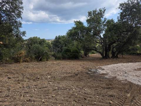 Terreno rústico - Boliqueime