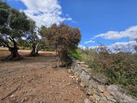 Terreno rústico - Boliqueime