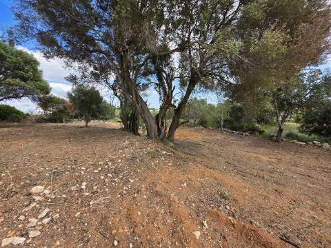 Terreno rústico - Boliqueime