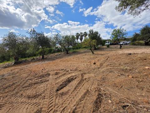 Terreno rústico - Boliqueime