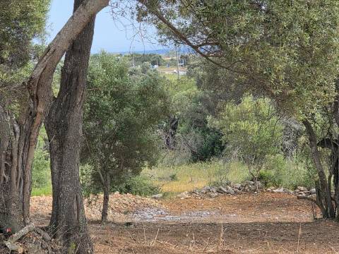 Terreno rústico - Boliqueime