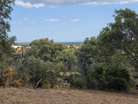 Terreno rústico - Boliqueime