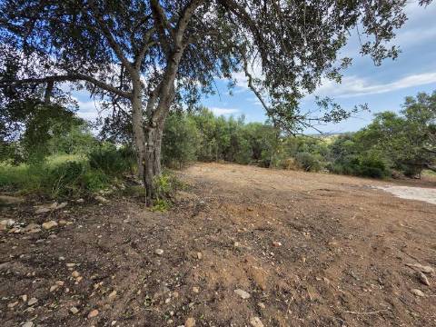 Terreno rústico - Boliqueime