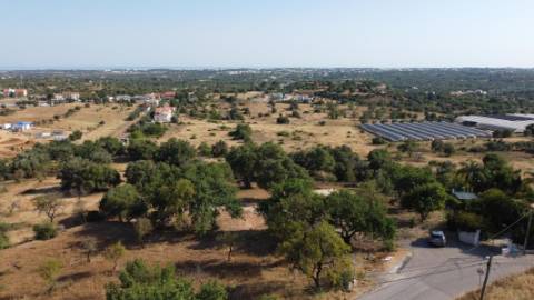 Terreno rústico - Boliqueime