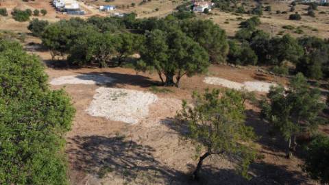 Terreno rústico - Boliqueime