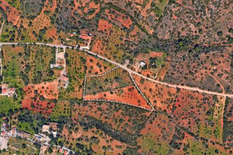 Terreno misto - Boliqueime