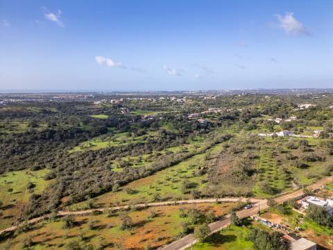Terreno misto - Boliqueime