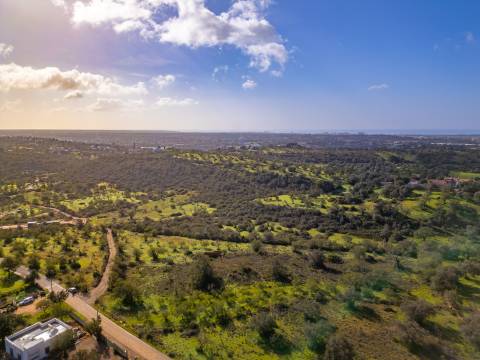 Terreno misto - Boliqueime