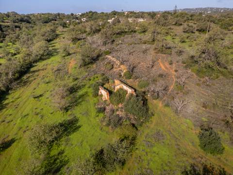 Terreno misto - Boliqueime