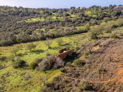 Terreno misto - Boliqueime