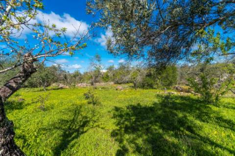 Moradia V4 Tradicional - Querença