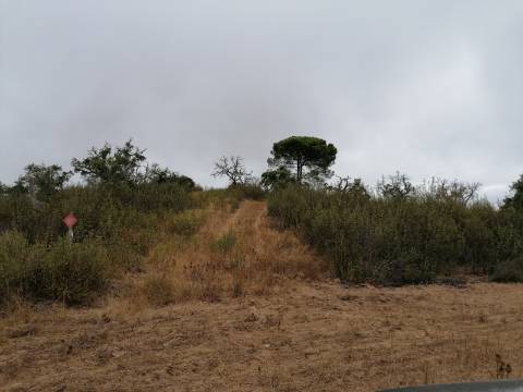 Terreno rústico