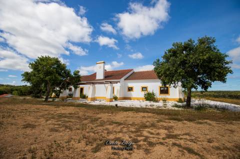 Courela da Silvestrinha: Sustentabilidade e Alta Tecnologia no Alentejo