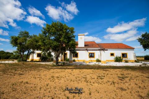 Courela da Silvestrinha: Sustentabilidade e Alta Tecnologia no Alentejo