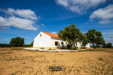 Courela da Silvestrinha: Sustentabilidade e Alta Tecnologia no Alentejo