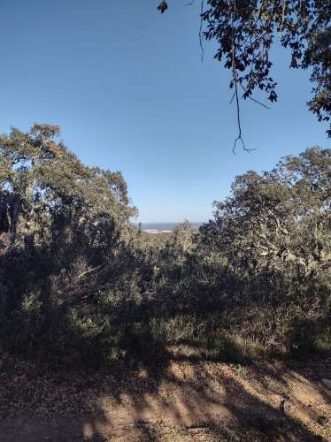 Terreno , projecto de dependência agrícola (Monte Alentejano)