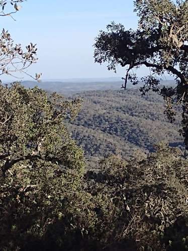 Terreno , projecto de dependência agrícola (Monte Alentejano)