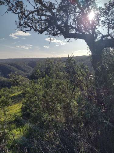 Terreno , projecto de dependência agrícola (Monte Alentejano)
