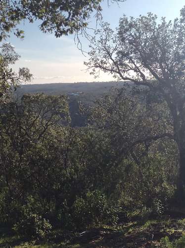 Terreno , projecto de dependência agrícola (Monte Alentejano)
