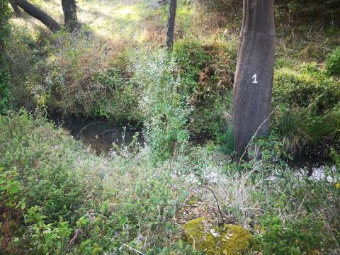 Terreno / Urbanizável À venda Mosqueirões, Grândola e Santa Margarida da Serra