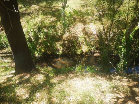 Terreno / Urbanizável À venda Mosqueirões, Grândola e Santa Margarida da Serra