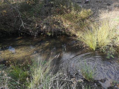 Terreno / Urbanizável À venda Mosqueirões, Grândola e Santa Margarida da Serra