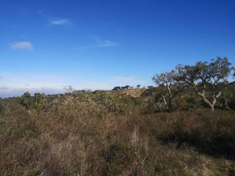 Terreno / Urbanizável À venda Mosqueirões, Grândola e Santa Margarida da Serra
