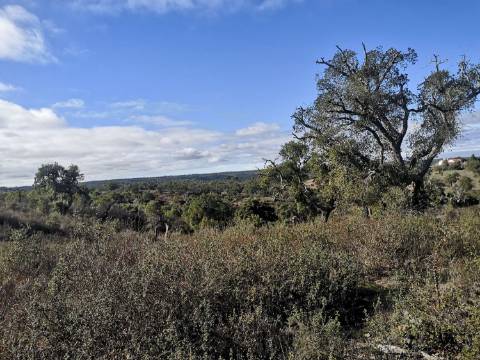Terreno / Urbanizável À venda Mosqueirões, Grândola e Santa Margarida da Serra