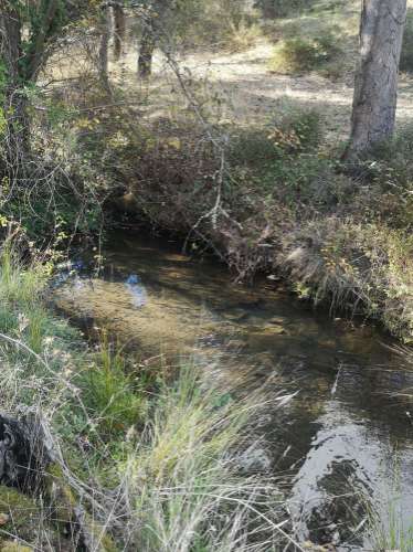 Terreno / Urbanizável À venda Mosqueirões, Grândola e Santa Margarida da Serra