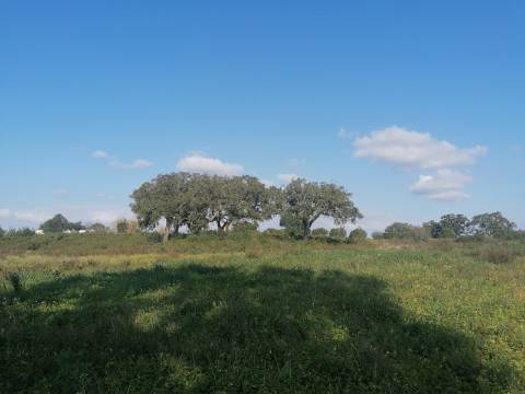 Terreno a poucos minutos de Melides