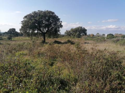 Terreno a poucos minutos de Melides