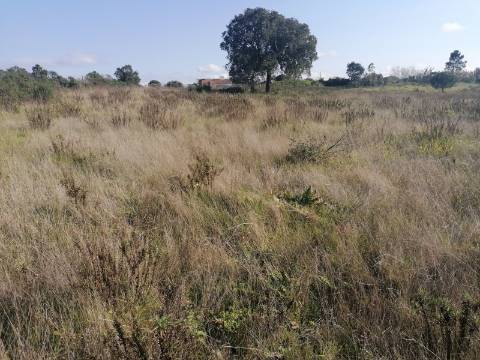 Terreno a poucos minutos de Melides